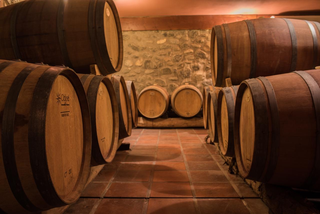 קאפאייט La Casa De La Bodega - Wine Boutique Hotel מראה חיצוני תמונה