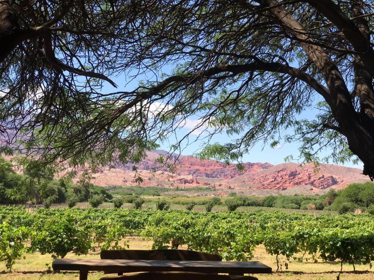 קאפאייט La Casa De La Bodega - Wine Boutique Hotel מראה חיצוני תמונה